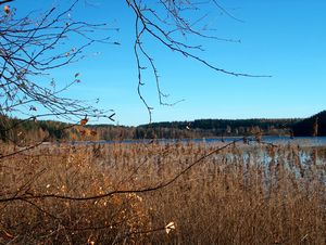 Jezero