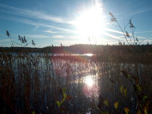 Jezero